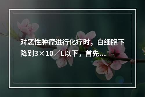 对恶性肿瘤进行化疗时，白细胞下降到3×10／L以下，首先应