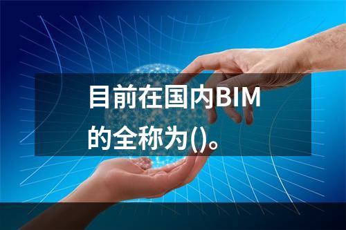 目前在国内BIM的全称为()。