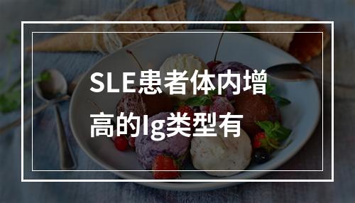 SLE患者体内增高的Ig类型有