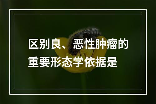 区别良、恶性肿瘤的重要形态学依据是