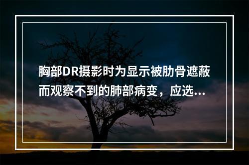 胸部DR摄影时为显示被肋骨遮蔽而观察不到的肺部病变，应选用的