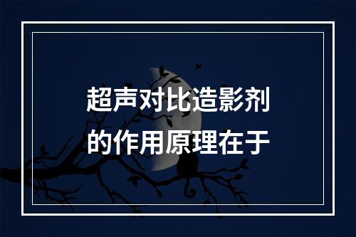 超声对比造影剂的作用原理在于