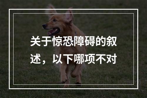 关于惊恐障碍的叙述，以下哪项不对