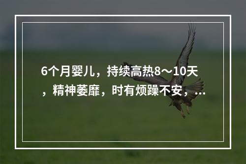 6个月婴儿，持续高热8～10天，精神萎靡，时有烦躁不安，频繁