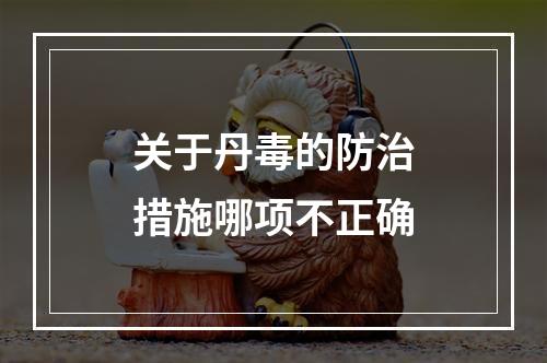 关于丹毒的防治措施哪项不正确