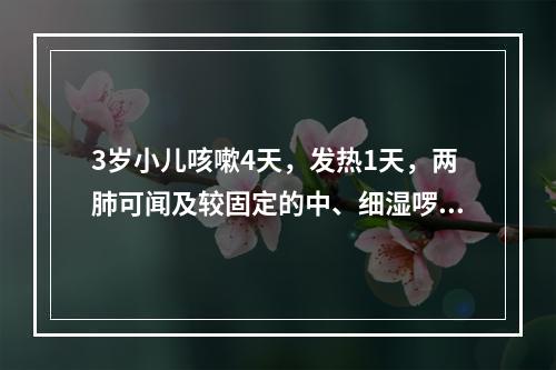 3岁小儿咳嗽4天，发热1天，两肺可闻及较固定的中、细湿啰音，