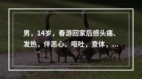 男，14岁，春游回家后感头痛、发热，伴恶心、呕吐，查体，神志