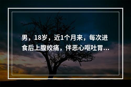 男，18岁，近1个月来，每次进食后上腹绞痛，伴恶心呕吐胃内容