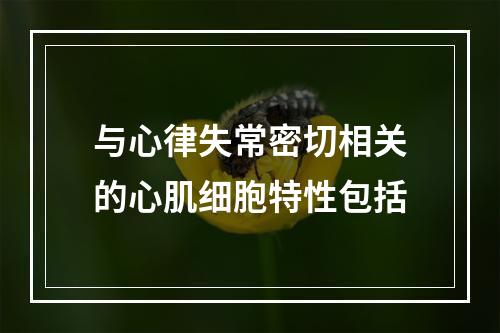 与心律失常密切相关的心肌细胞特性包括