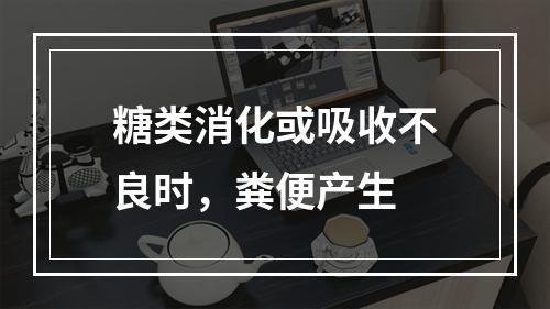 糖类消化或吸收不良时，粪便产生