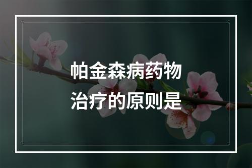 帕金森病药物治疗的原则是