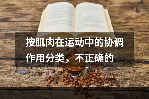 按肌肉在运动中的协调作用分类，不正确的