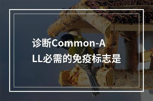 诊断Common-ALL必需的免疫标志是