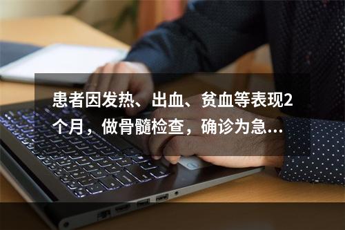 患者因发热、出血、贫血等表现2个月，做骨髓检查，确诊为急性白