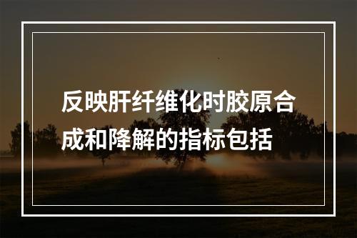 反映肝纤维化时胶原合成和降解的指标包括