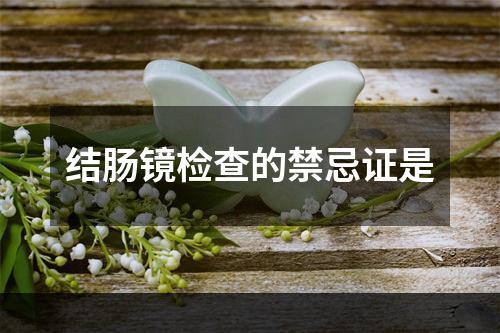 结肠镜检查的禁忌证是