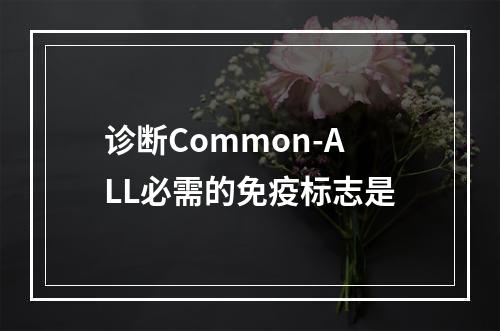 诊断Common-ALL必需的免疫标志是