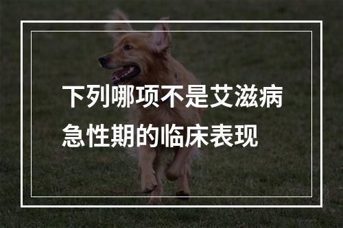 下列哪项不是艾滋病急性期的临床表现