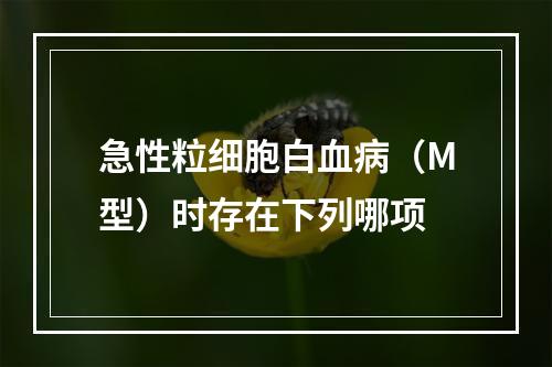 急性粒细胞白血病（M型）时存在下列哪项