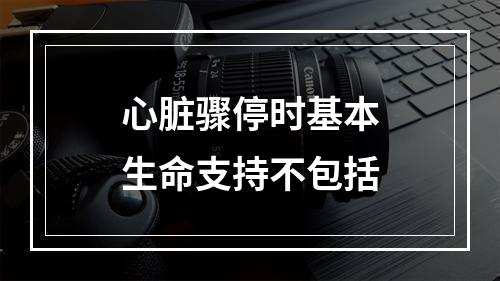 心脏骤停时基本生命支持不包括