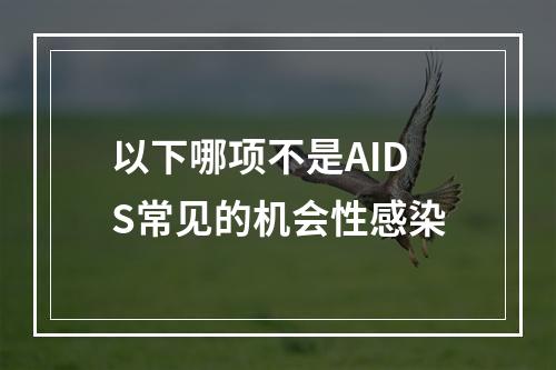 以下哪项不是AIDS常见的机会性感染