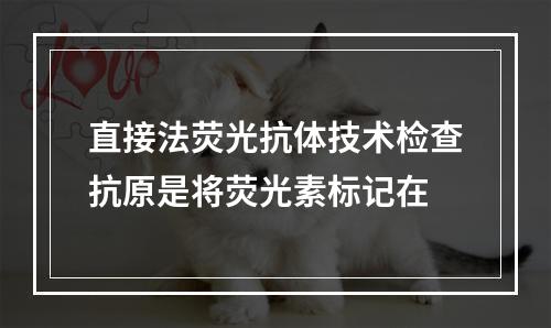 直接法荧光抗体技术检查抗原是将荧光素标记在