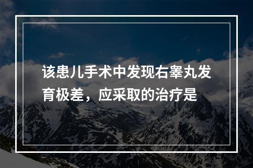 该患儿手术中发现右睾丸发育极差，应采取的治疗是