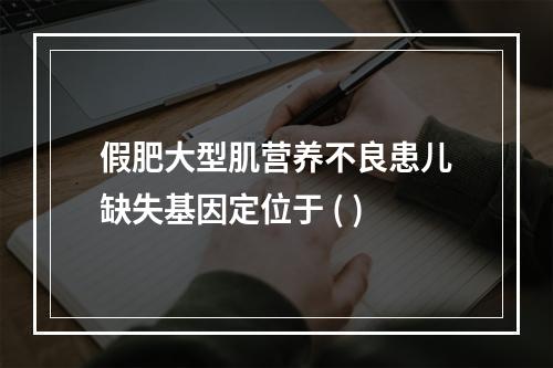 假肥大型肌营养不良患儿缺失基因定位于 ( )