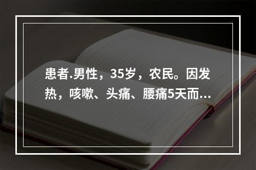 患者.男性，35岁，农民。因发热，咳嗽、头痛、腰痛5天而入院