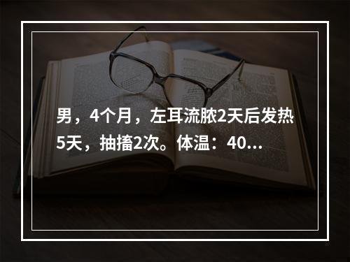 男，4个月，左耳流脓2天后发热5天，抽搐2次。体温：40℃，