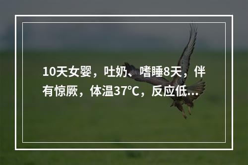 10天女婴，吐奶、嗜睡8天，伴有惊厥，体温37℃，反应低下，