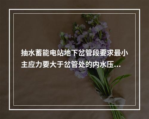 抽水蓄能电站地下岔管段要求最小主应力要大于岔管处的内水压力至