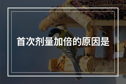 首次剂量加倍的原因是