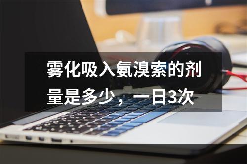 雾化吸入氨溴索的剂量是多少，一日3次