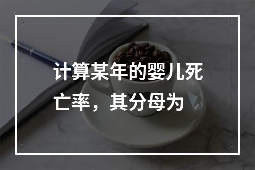 计算某年的婴儿死亡率，其分母为