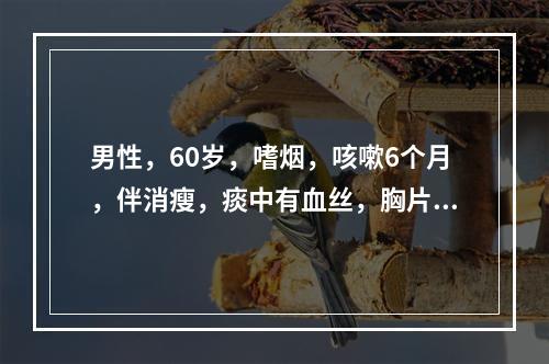 男性，60岁，嗜烟，咳嗽6个月，伴消瘦，痰中有血丝，胸片检查