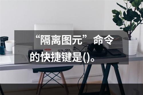 “隔离图元”命令的快捷键是()。