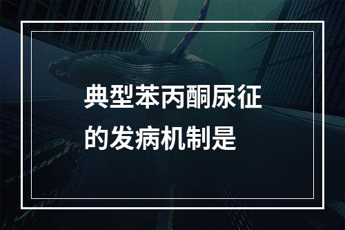 典型苯丙酮尿征的发病机制是