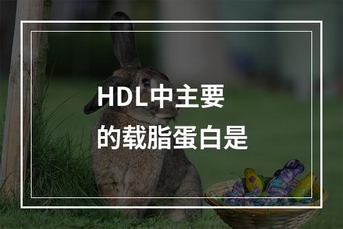 HDL中主要的载脂蛋白是