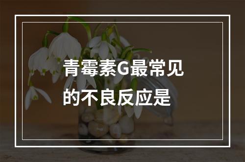 青霉素G最常见的不良反应是