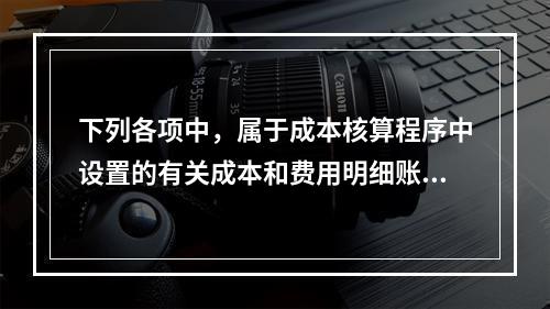 下列各项中，属于成本核算程序中设置的有关成本和费用明细账的有