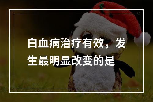 白血病治疗有效，发生最明显改变的是