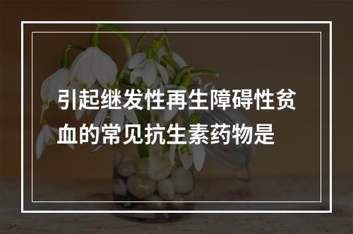 引起继发性再生障碍性贫血的常见抗生素药物是