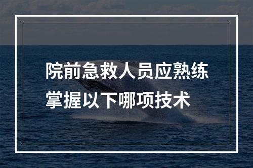 院前急救人员应熟练掌握以下哪项技术