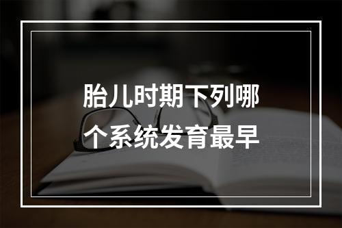 胎儿时期下列哪个系统发育最早