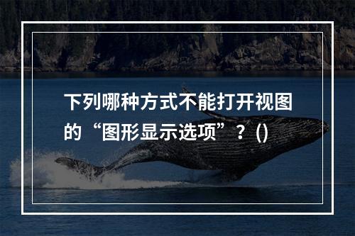 下列哪种方式不能打开视图的“图形显示选项”？()