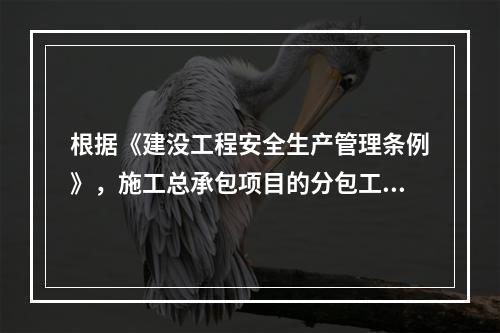 根据《建没工程安全生产管理条例》，施工总承包项目的分包工程发