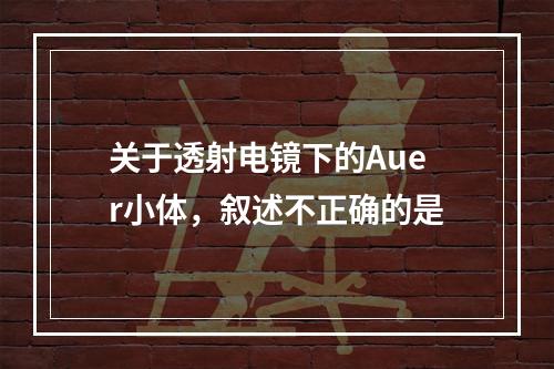 关于透射电镜下的Auer小体，叙述不正确的是