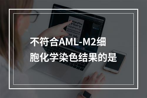 不符合AML-M2细胞化学染色结果的是