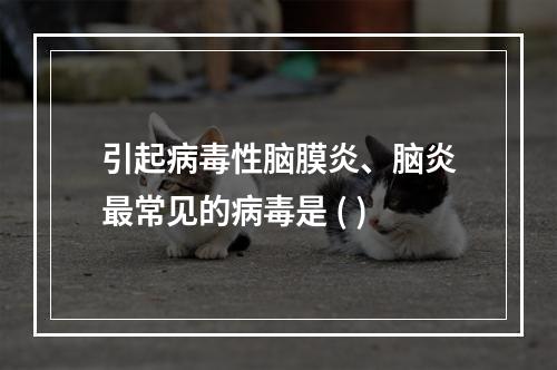 引起病毒性脑膜炎、脑炎最常见的病毒是 ( )